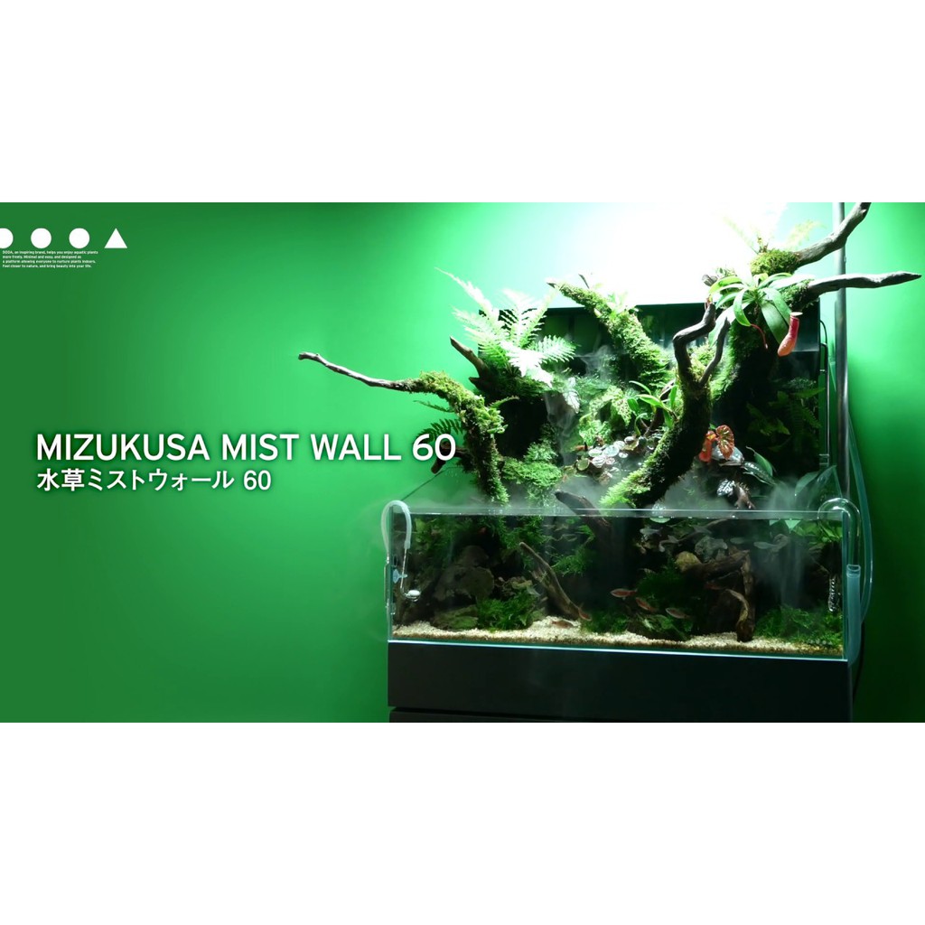 Tường Rêu DOOA Mizukusa Wall 60 - ADA