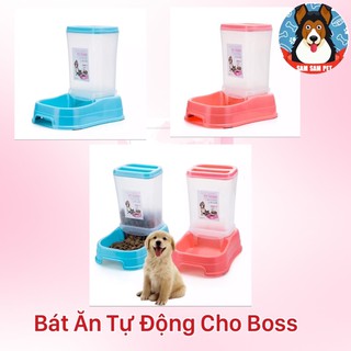 Bát ăn tự động cho chó & mèo 350ml