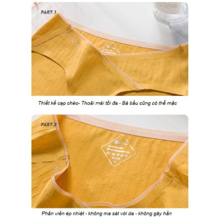 Quần Lót Cotton Kháng Khuẩn Giấu Viền Cạp Chéo P157