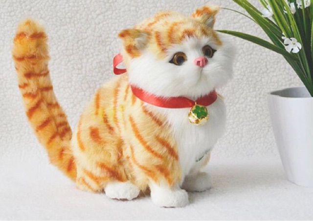 Mèo lông nhân tạo cao cấp - quà tặng đẹp
