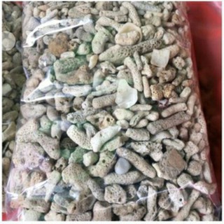 San hô vụn lọc hồ cá 1kg