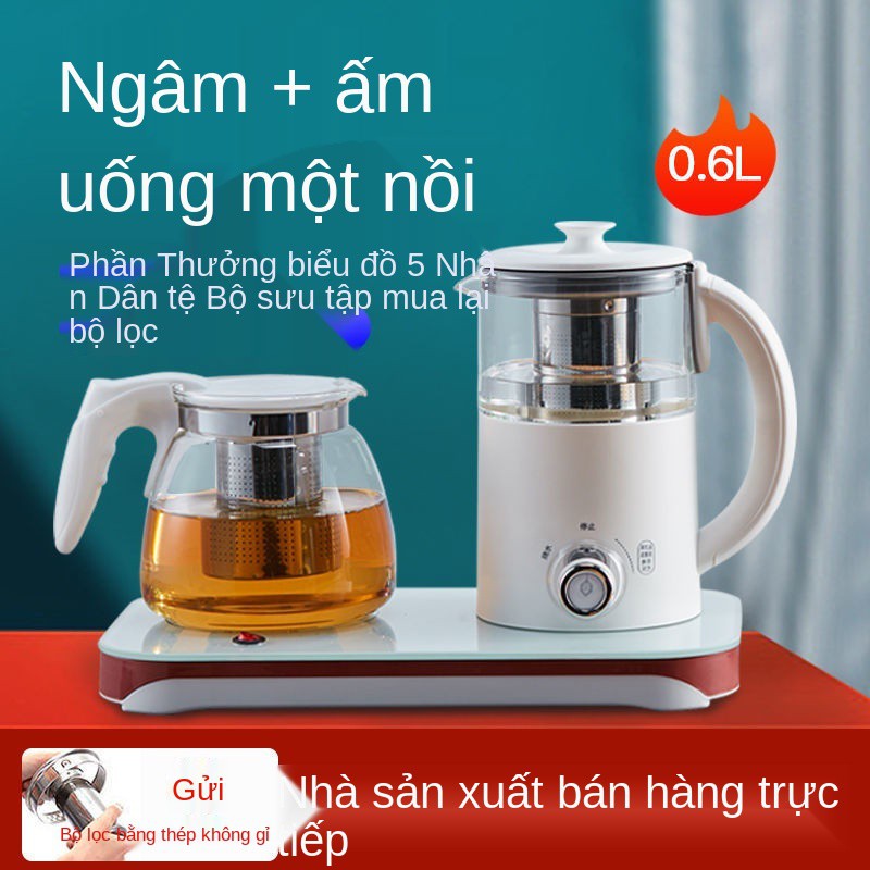 ấm siêu tốc văn phòng nhỏ mini, pha trà đa năng, cốc thủy tinh đun hoa cách nhiệt