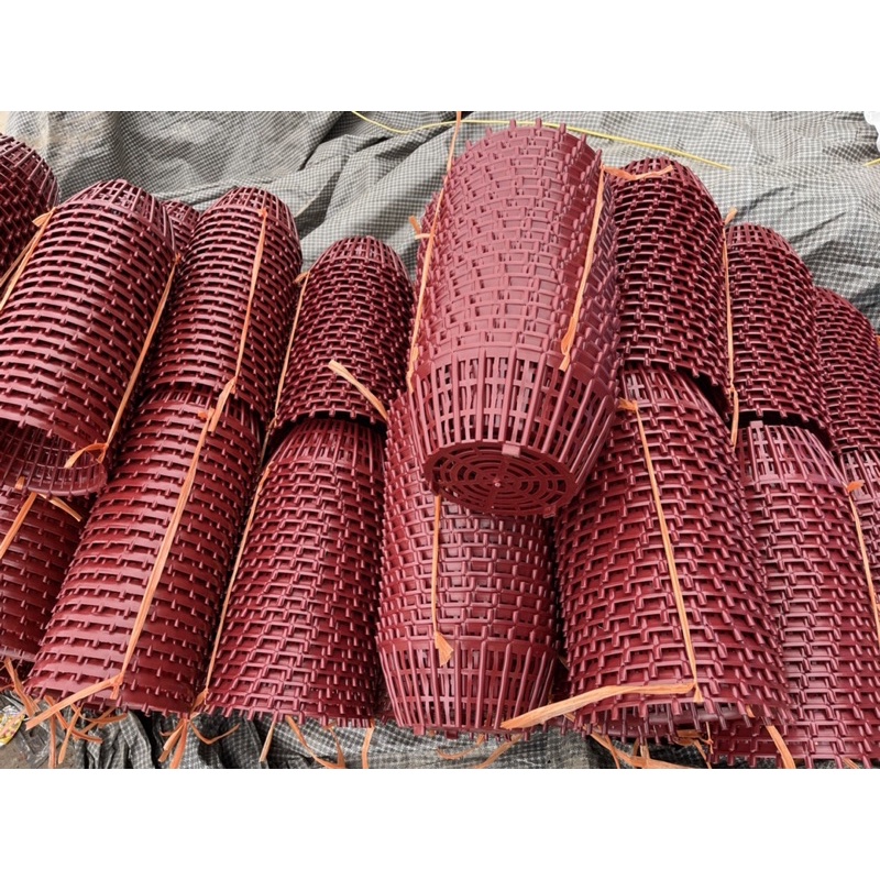 Chậu lan que nhựa