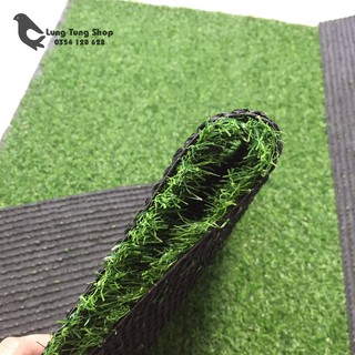 Thảm cỏ nhựa giá rẻ