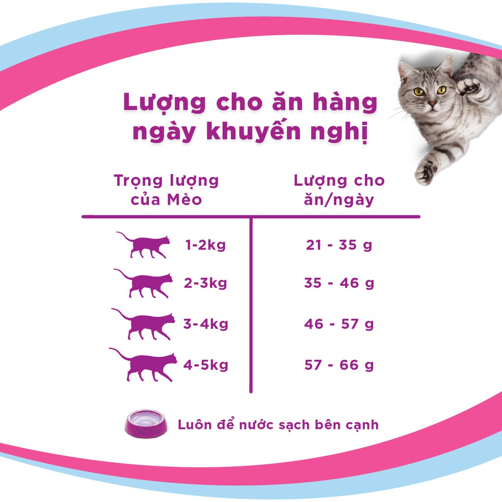 Bộ thức ăn dạng hạt dành cho mèo con Whiskas vị cá biển 1.1kg + 6 túi pate cho mèo con Whiskas vị cá ngừ 85g/túi