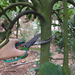 Kéo khoanh vỏ cây lưỡi răng cưa - D16