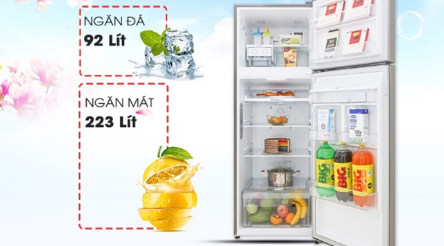 [ELHAL5 giảm 7% tối đa 1TR] Tủ lạnh LG Inverter 315 lít GN-D315S Mẫu 2019(Miễn phí giao tại HCM-ngoài tỉnh liên hệ shop)