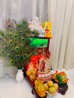 Combo 60 lông công tự nhiên 45-50cm