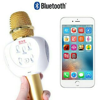 Micro hát karaoke kèm loa Bluetooth ZBX-66