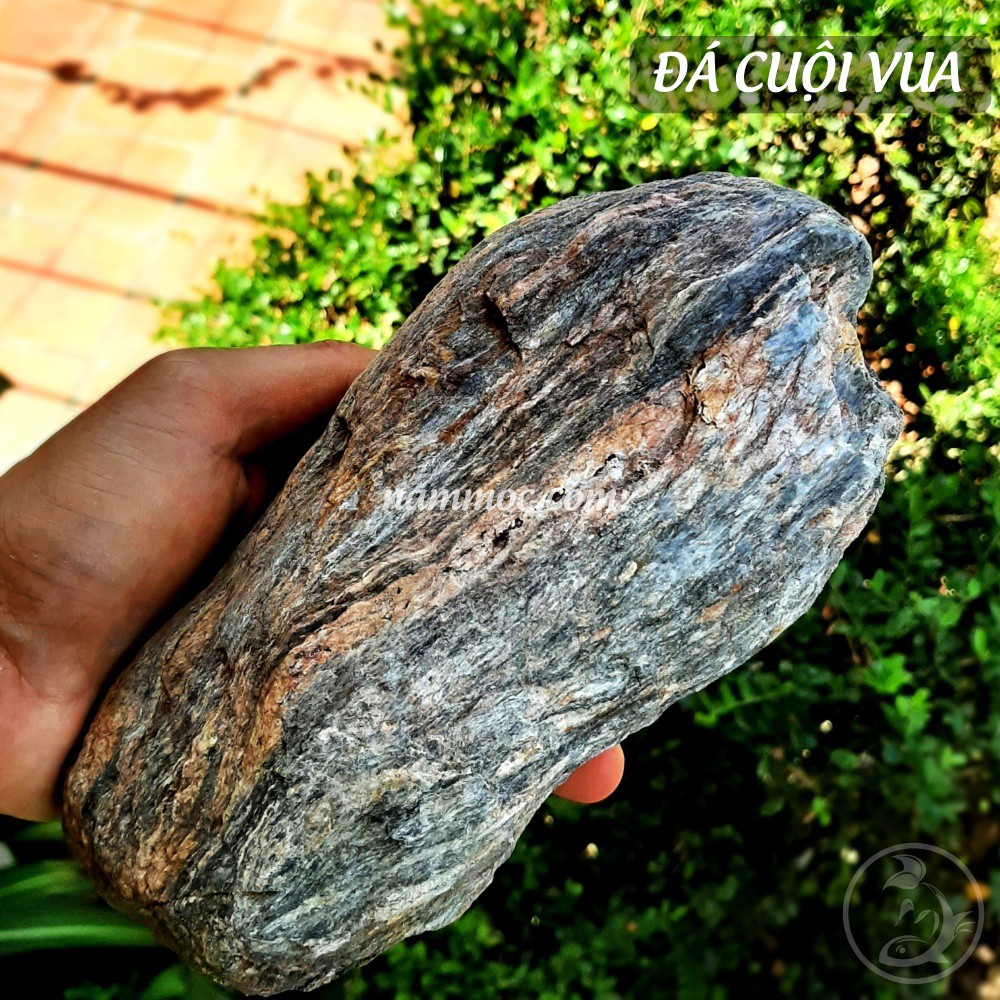 Đá Cuội Vua | Đá Cuội Siêu Vân - Trang trí bể thuỷ sinh, Biotop, Iwagumi...
