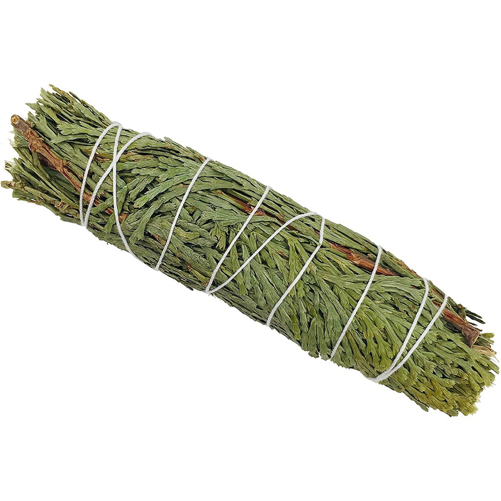 Cedar Sage/ Bó tuyết tùng/ Thảo dược xông nhà- 12 cm