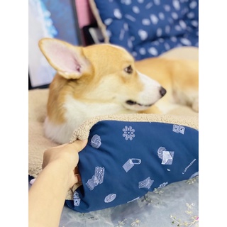 NỆM CHO CHÓ LỚN GIÁ RẺ