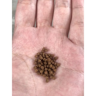 Cám cá vàng và cá koi (Growth-Balance-Color) (1kg) (hạt chìm)