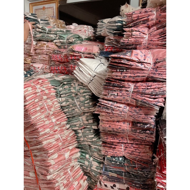 Đồ Bộ Pijama🌸Bộ Lụa Tay Ngắn-Quần Dài Chất Liệu SaTin Hoạ Tiết Xinh Xắn | BigBuy360 - bigbuy360.vn