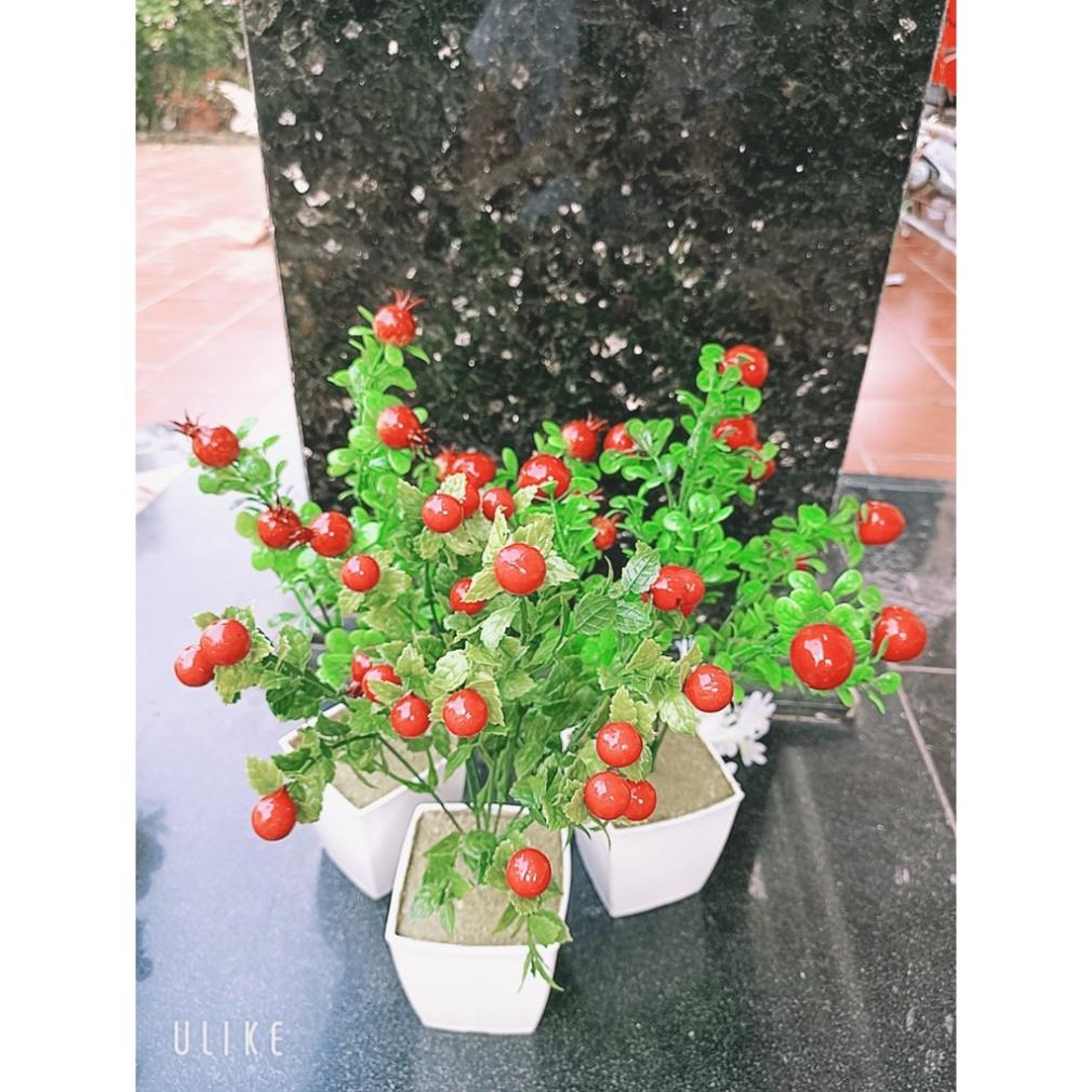 Chậu cây quả giả trang trí decor siêu xịnh ạ