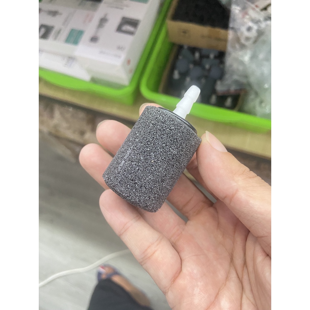 Quả sủi Oxy cho bể cá cảnh
