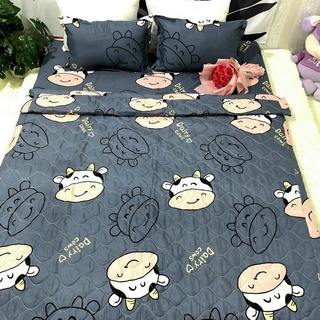 - Bộ chăn ga gối 5 món, Chăn phao ruột bông dày dặn