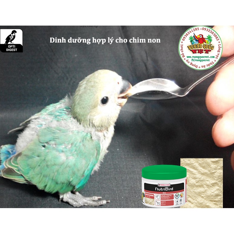 Bột Nutri A19/2024 - A21/2024 gói lẻ 100g