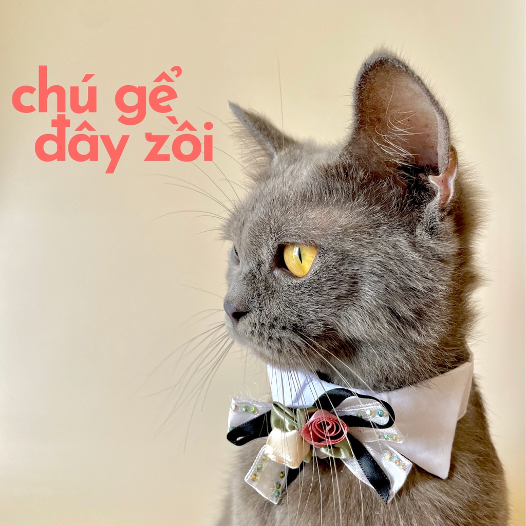 Cổ Áo Sơmi Cho Chó/Mèo
