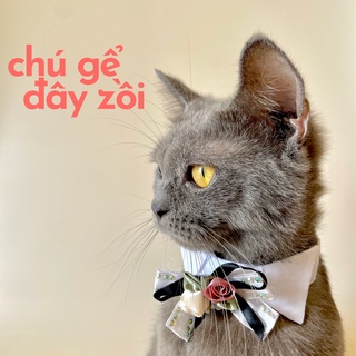 Cổ áo sơmi cho chó/mèo