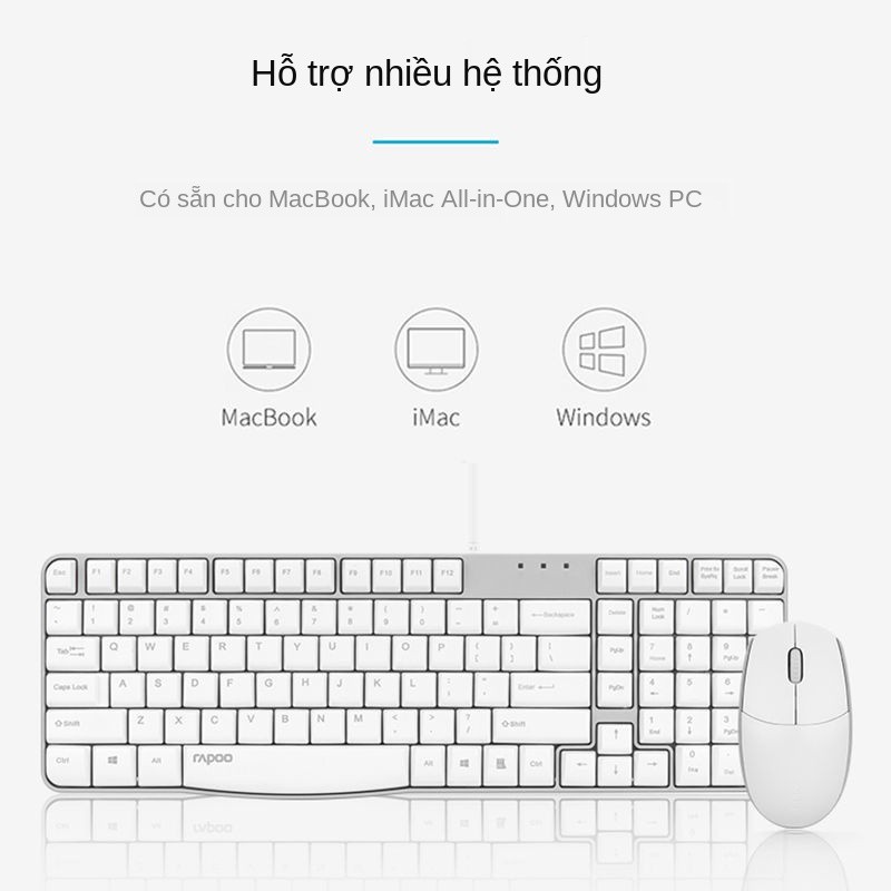 Bộ chuột và bàn phím có dây Rapoo K120 USB chống nước chơi game văn phòng | BigBuy360 - bigbuy360.vn