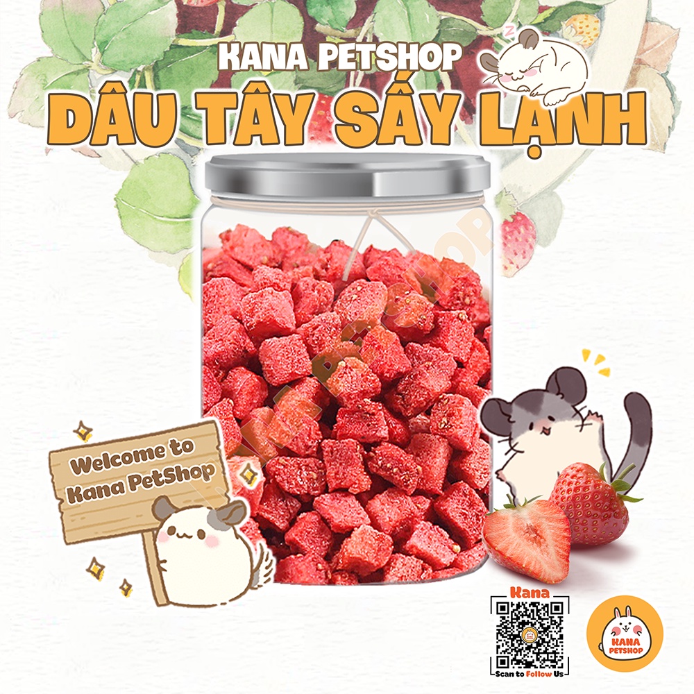 Dâu Tây Sấy Hamster FREESHIP Đồ Ăn Vặt Dâu Tây Sấy Lạnh Thức Ăn Dặm Bổ Sung Dinh Dưỡng Cho Hamster, Sóc, Sóc Bay Úc ..