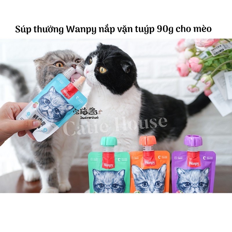 [Giao ngay HOẢ TỐC] Súp thưởng Wanpy tuýp 90g - Súp thưởng Wanpy cho mèo tuýp có nắp vặn 90g