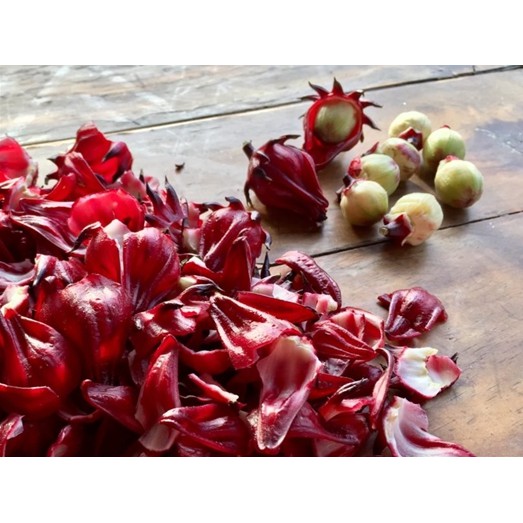 (500g) Trà Atiso Hibiscus Đường phèn mật ong