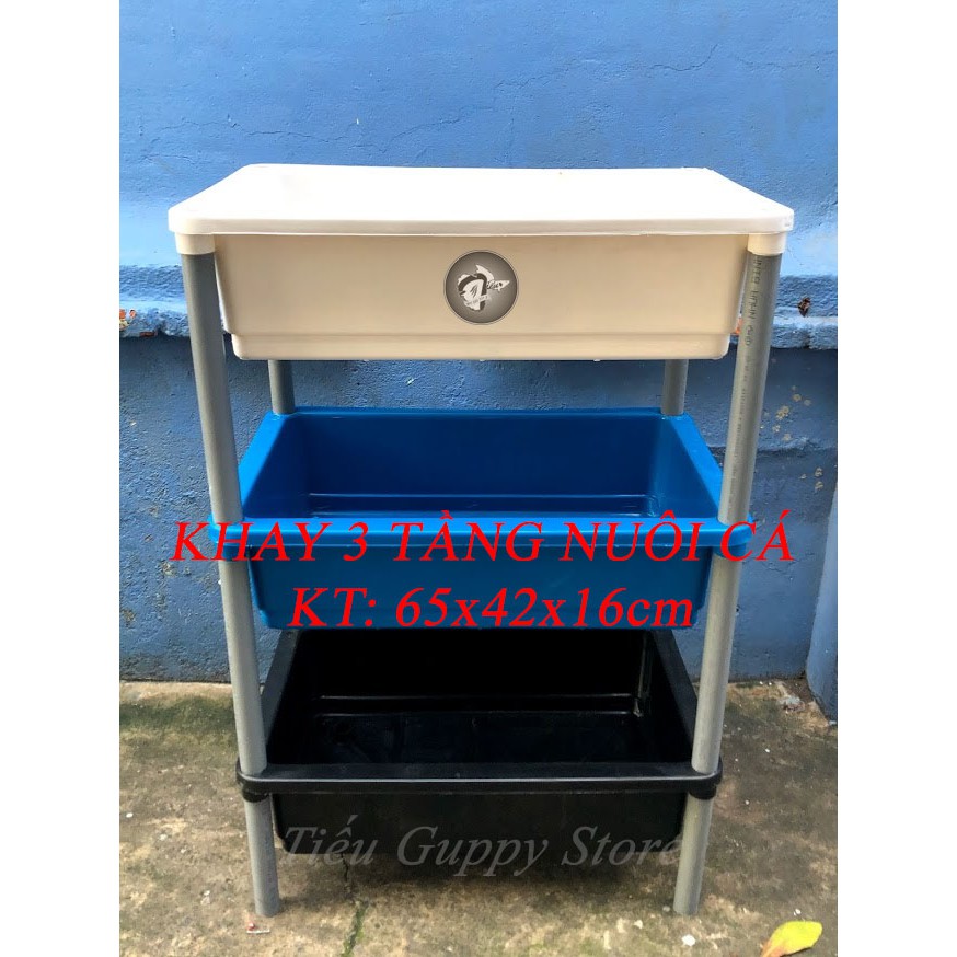 Bộ Khay 3 tầng nuôi cá Kích Thước: 65x42x16cm sử dụng chân nhựa BÌNH MINH (có giao hàng hỏa tốc nhanh ở SG)