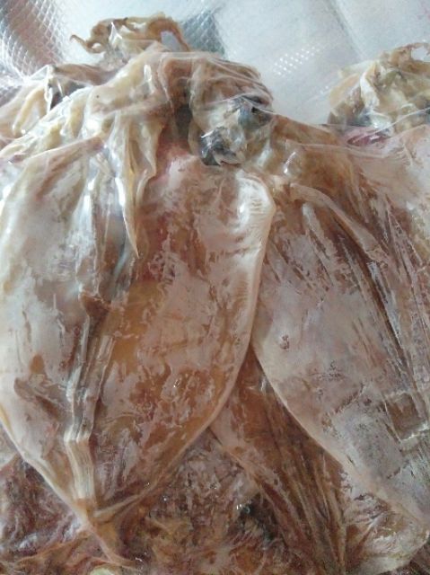 Combo 6,5kg cá mực, các loại