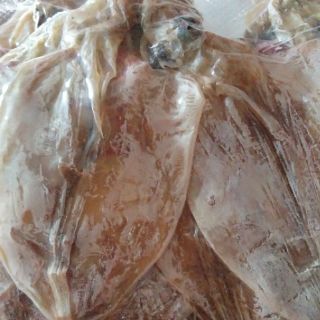 Combo 6,5kg cá mực, các loại