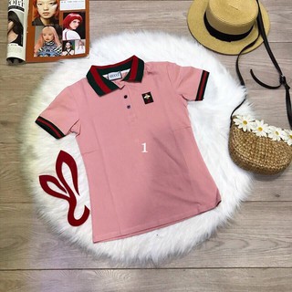 Áo thun nữ có cổ hàng VNXK