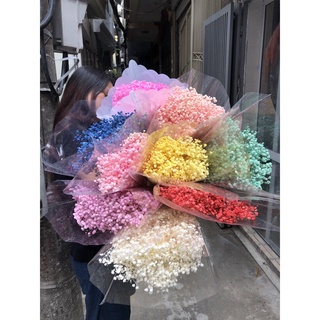 Hoa baby ướp ❤️ Gypsophila hoa khô trang trí phòng ngủ, làm đồ handmade