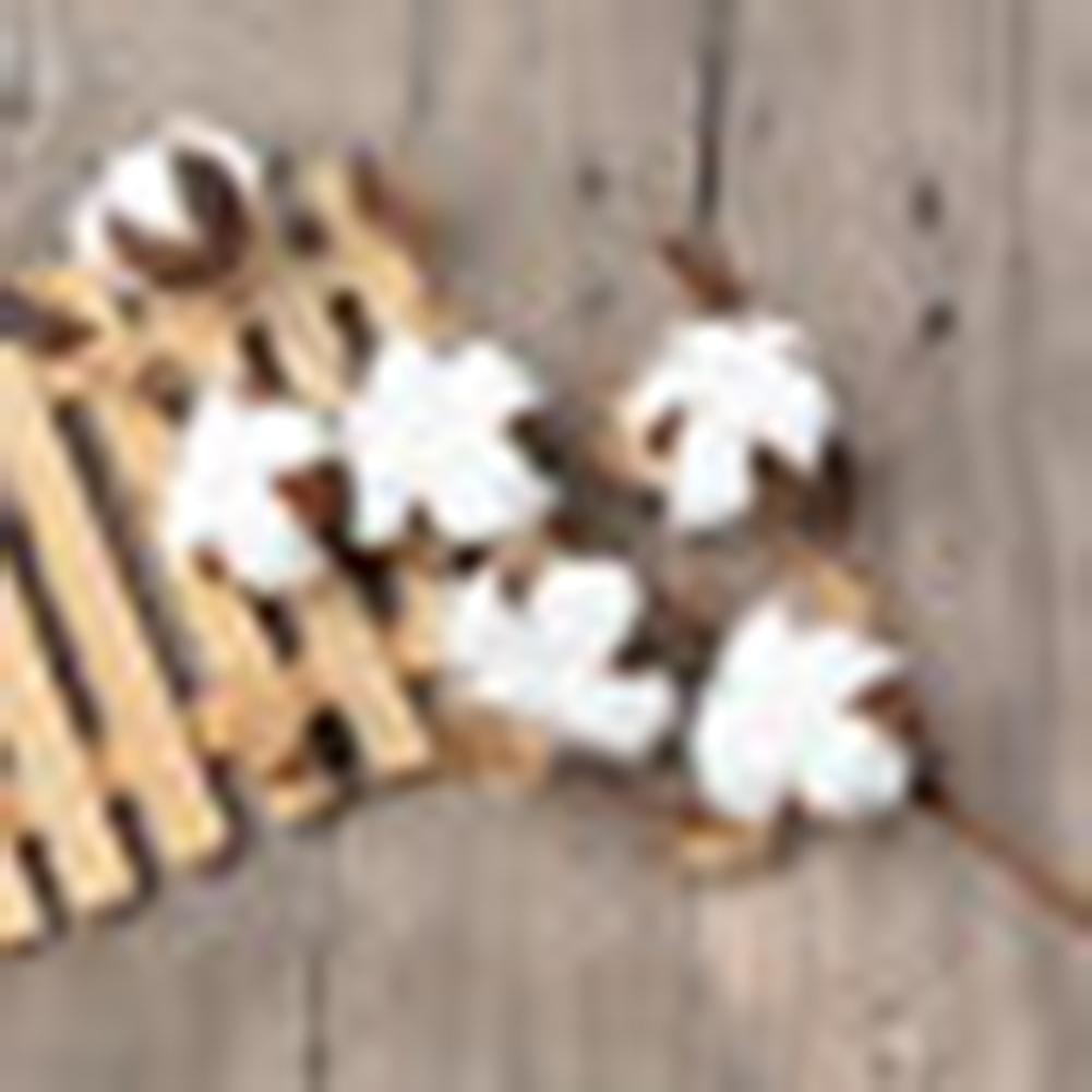 Cành Hoa Khô Trang Trí