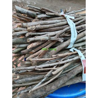 Củi khô trang trí