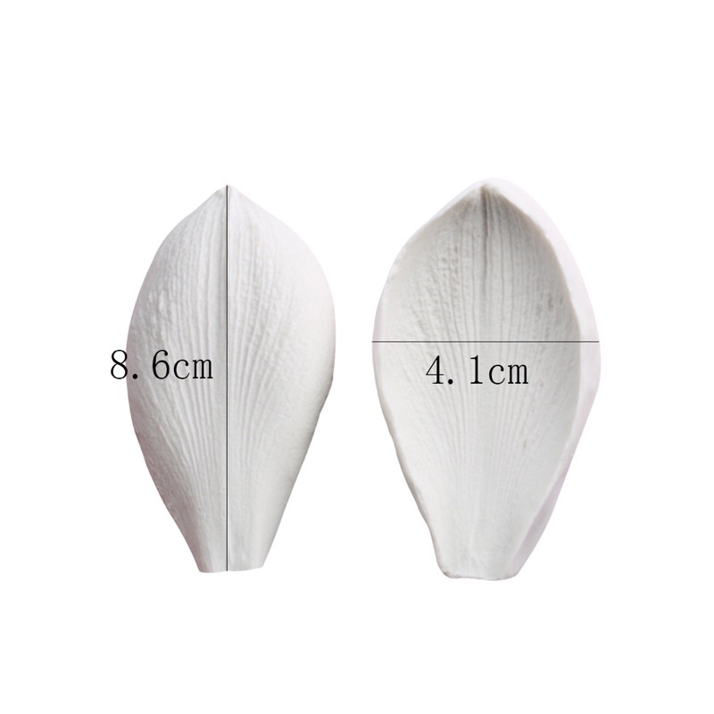 Silicon gân cánh hoa sen