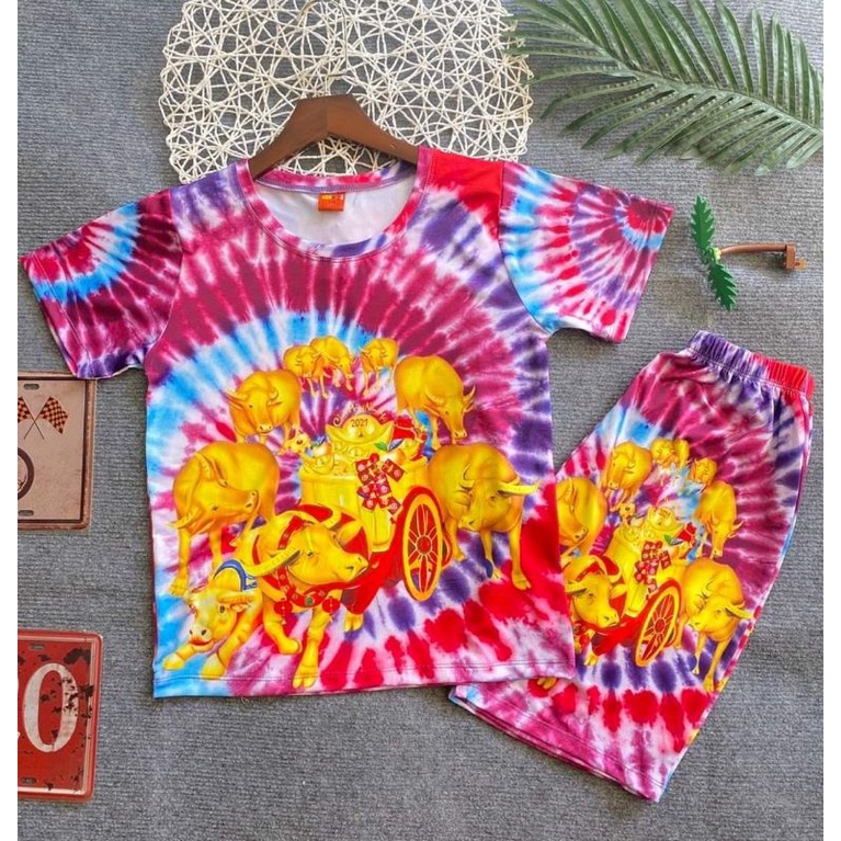 Bộ tay ngắn quần đùi thun 3d hàng shop cho bé size đại