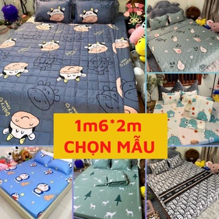 Ga chống thấm cotton 1m6*2m cao cấp cho bé, ga giường chống thấm nước