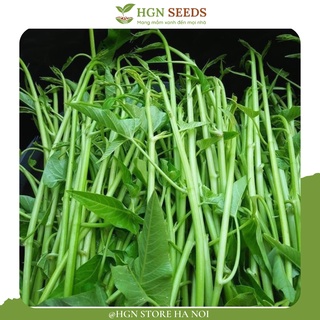 Hạt giống Rau muống chum siêu ngọn Thái - Gói 1KG