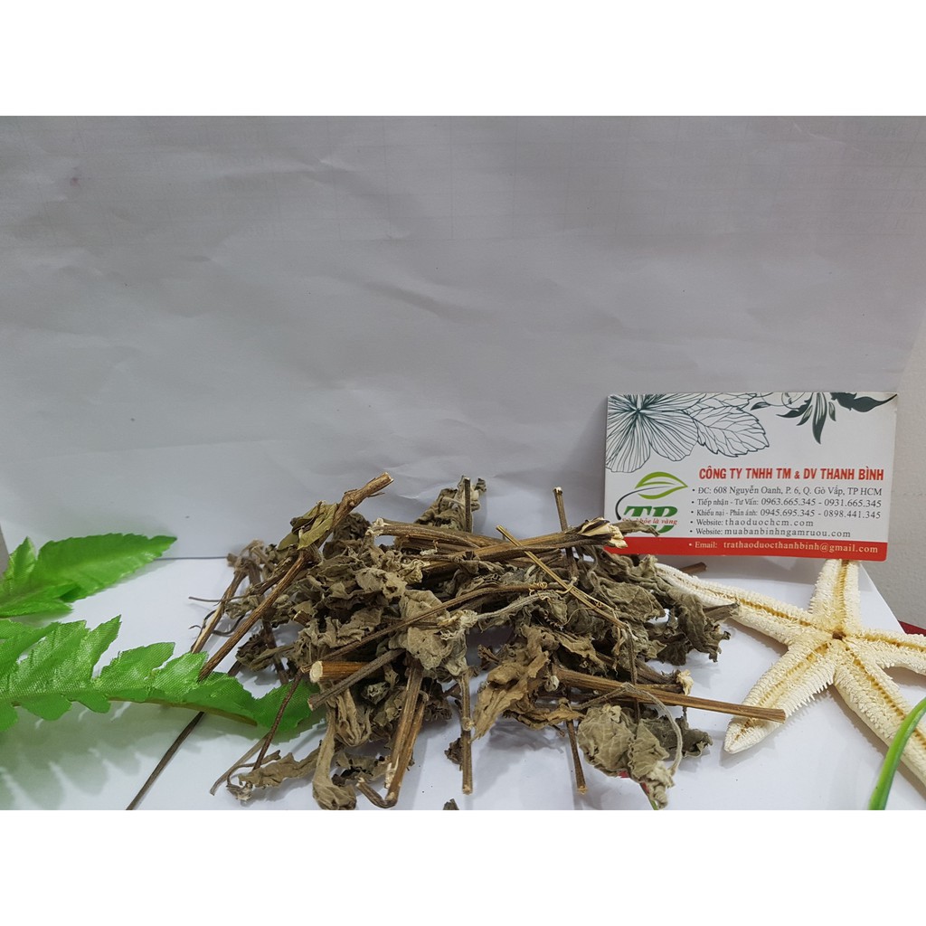 Cây cỏ xước 100g - Thu Hái Tự Nhiên - Thảo Dược Uy Tín