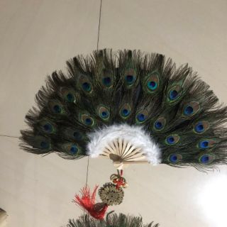 Quạt lông công mini 60x35