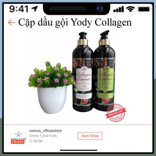 Cặp dầu gội xả yody collagen 800ml | giảm rụng tóc, phục hồi tóc khô xơ, chẻ ngọn, gãy rụng | hàng chính hãng ct51