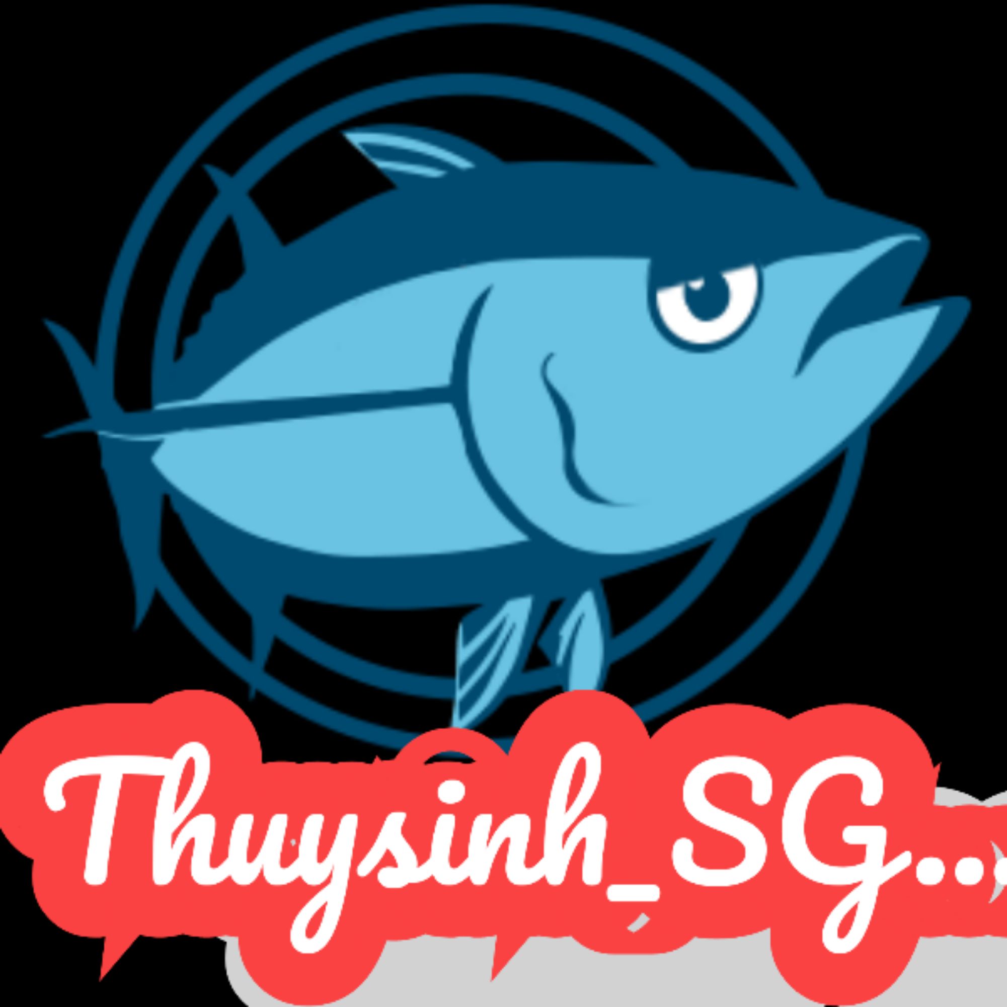 thuysinh_sg15