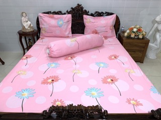 Drap cotton hàn quốc