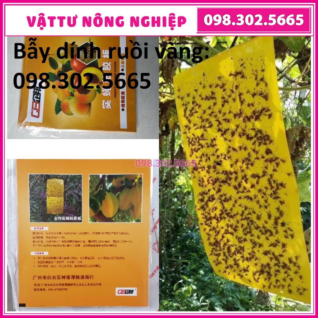 Miếng Dính Bẫy Côn Trùng , Bẫy Ruồi Vàng cho hoa lan, cây trồng KT 22x40cm