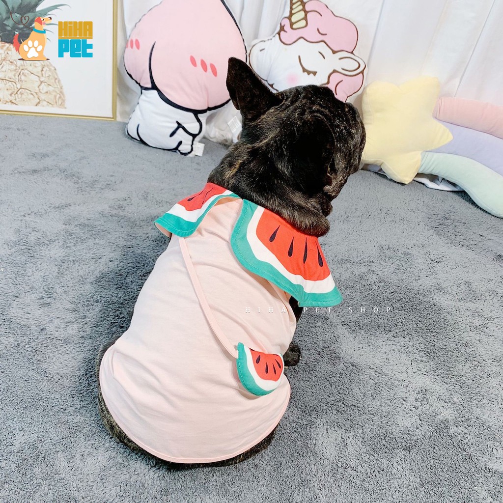 Áo thun mùa hè chó mèo mát mẻ dễ thương Pug, Pull, Poodle mặc quần áo thú cưng hình trái cây có túi đeo Hihapet