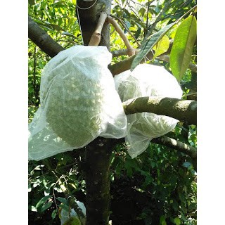 [SIEURE] TÚI BỌC TRÁI CÂY BƠ, ỔI, XOÀI, NA 50 TÚI CÓ DÂY RÚT 15 x 20 CM hàng đẹp, phân phối chuyên nghiệp-Phukientuiloc