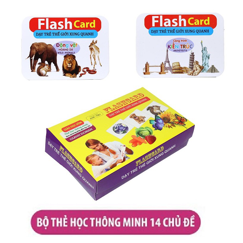 Bộ thẻ học thông minh Flash card 14 chủ đề 280 thẻ dạy trẻ về thế giới xung quanh (Anh - Việt