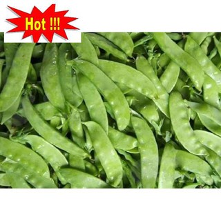 Hạt giống Đậu Hà Lan (Lấy Trái) (20g)