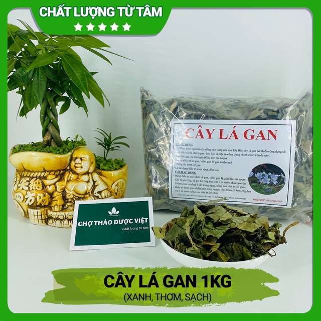 Cây lá gan 1 kg giải độc gan